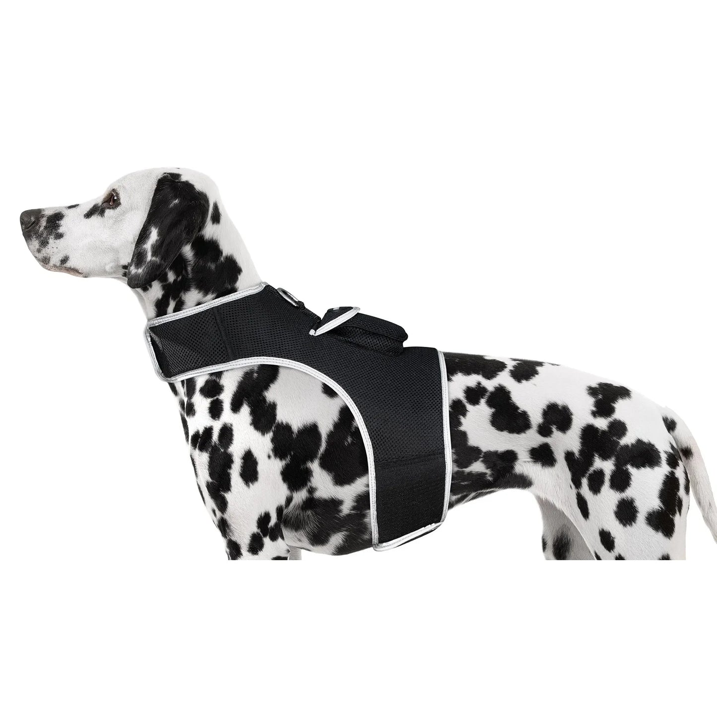 Smart Activity Tracker Real-Time Android GPS Pet Tracker Motion Detect for Easy Pet Tracking Size:XS