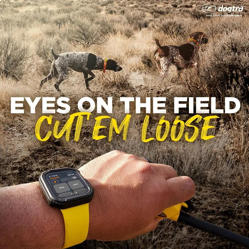 Pathfinder 2 - Hunting Ecollar GPS Dog Training Collar with Remote, 9 Mile Range, Tracking & Containment for Medium