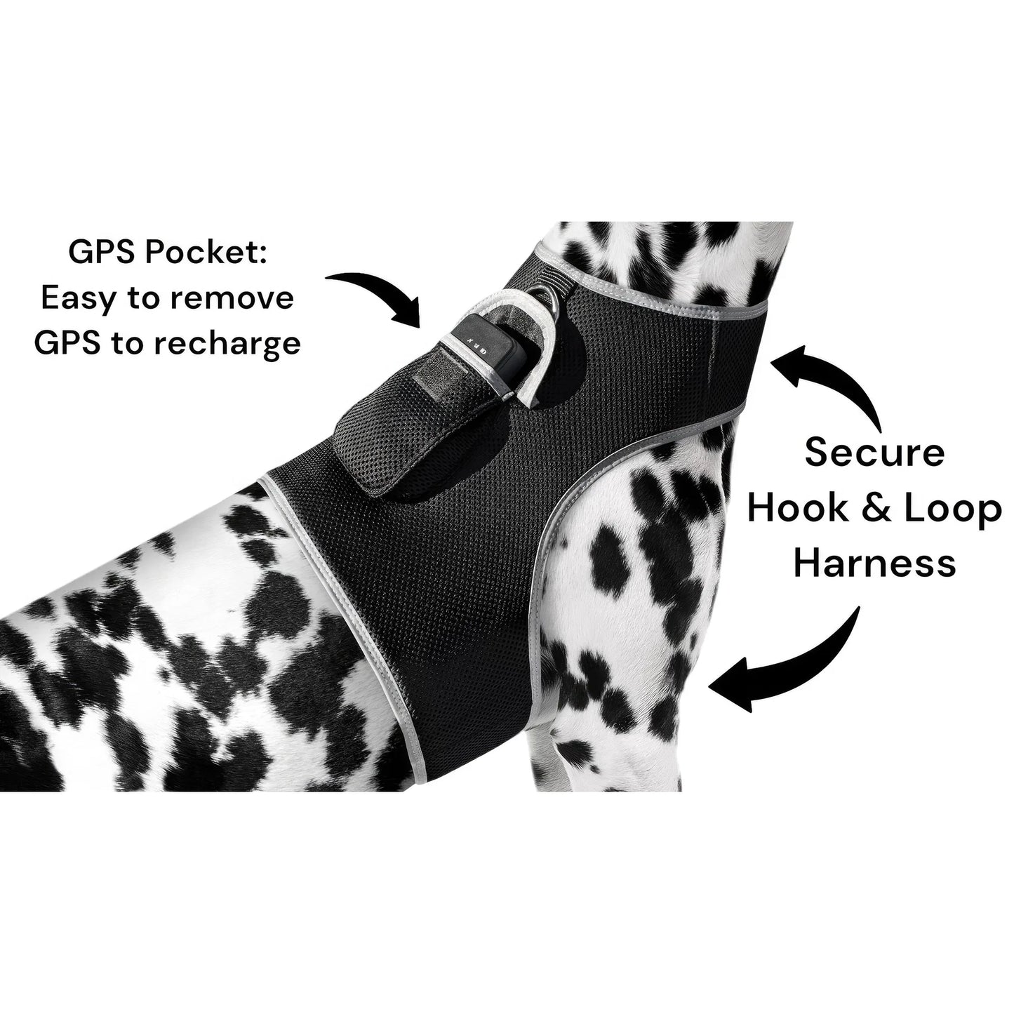 Smart Activity Tracker Real-Time Android GPS Pet Tracker Motion Detect for Easy Pet Tracking Size:XS
