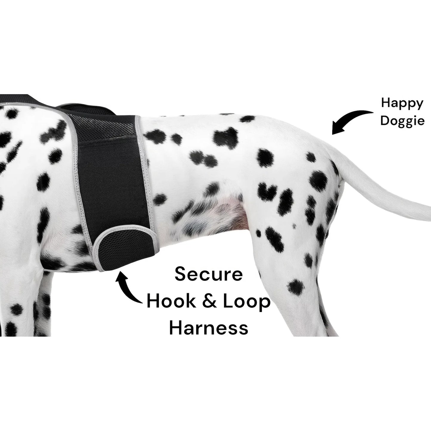 Smart Activity Tracker Real-Time Android GPS Pet Tracker Motion Detect for Easy Pet Tracking Size:XS